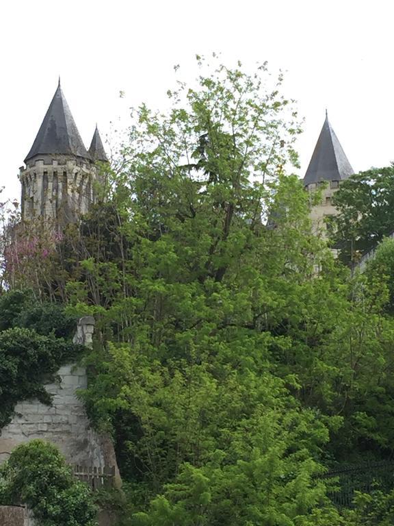 Hotel Saint Pierre Boutique-Hotel Saumur Bagian luar foto
